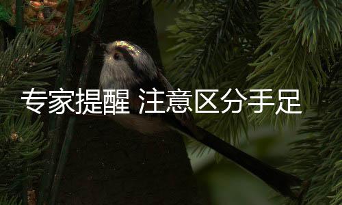 专家提醒 注意区分手足口病和疱疹性口腔炎！