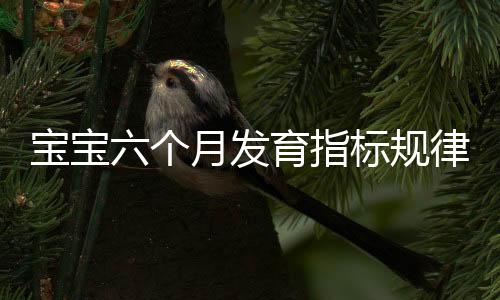 宝宝六个月发育指标规律