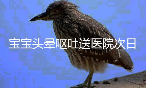 宝宝头晕呕吐送医院次日竟死亡